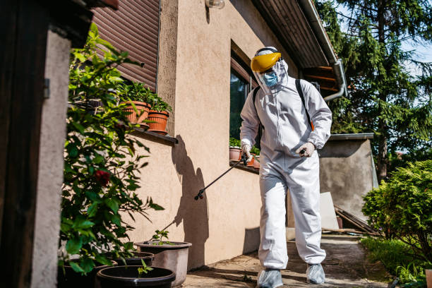 Best Pest Control Treatment  in Duluth, MN