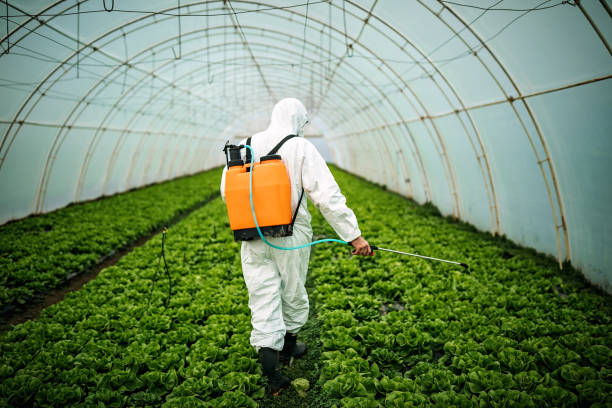 Best Mosquito Control Services  in Duluth, MN