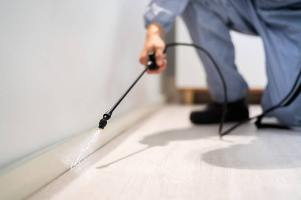 Flea Control Services in Duluth, MN